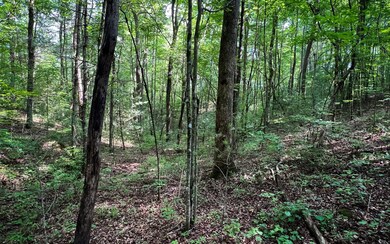 Additional View