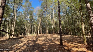 0 Old Hwy 49 unit 4128354, Saucier, MS 39574 - photo 2