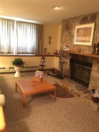 5 Northbrook Village Rd unit A-13, Dover, VT 05356 - photo 3