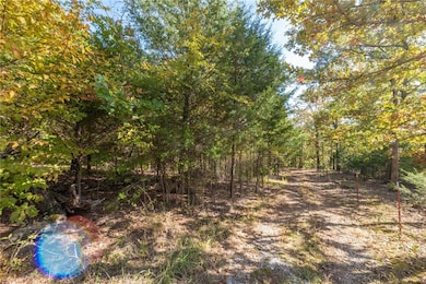 16898 Misty Wood Rd, West Fork, AR 72774 - photo 4