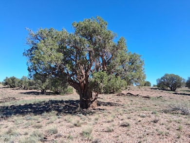 212 County Rd N9226 --, Concho, AZ 85924 - photo 4
