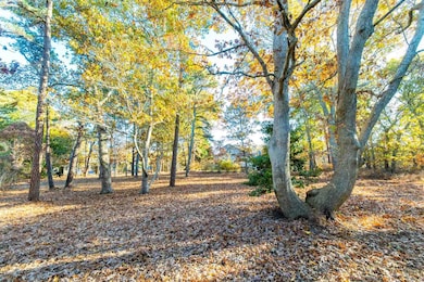 0 Shawanue Ave unit 32400336, Oak Bluffs, MA 02557 - photo 5