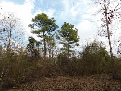 View of landscape