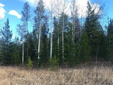 20870 Pinto Way, Oak Creek, CO 80467 - photo 2