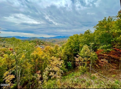 1817 Pinestand Ridge Way, Sevierville, TN 37862 - photo 2