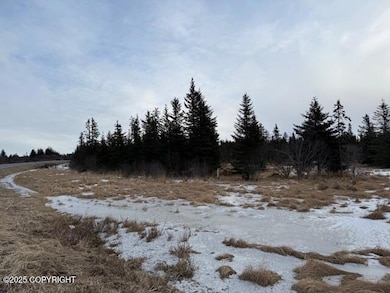26220 Sterling Hwy, Anchor Point, AK 99556 - photo 4