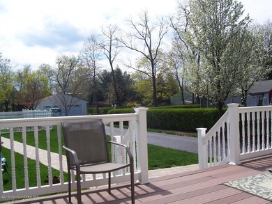 BAMBOO DECK
