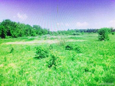 Land/Lot