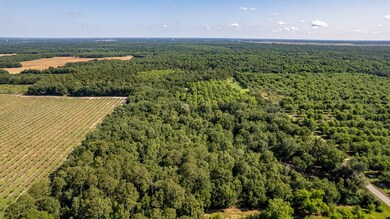 4309 Jimmy Goff Ct, Albany, GA 31705 - photo 7