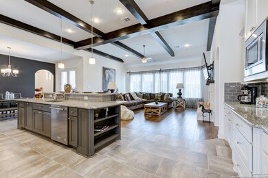 24047 Azul Dawn, San Antonio, TX 78261 - photo 6