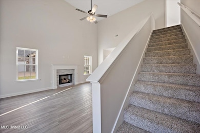 13837 Wesley Banks Blvd, Olive Branch, MS 38654 - photo 4