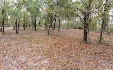 3064 145th Rd, Live Oak, FL 32060 - photo 3