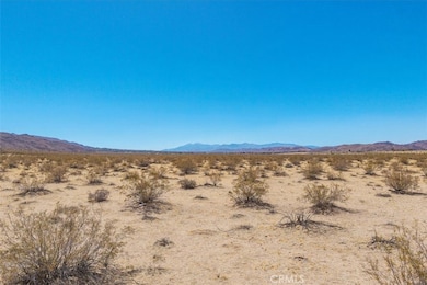 6224 Pelican Ave, Joshua Tree, CA 92252 - photo 7