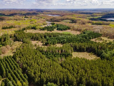 28619 County 12, Long Prairie, MN 56347 - photo 6