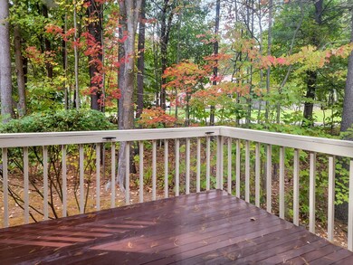 31 Salisbury Rd unit U51, Nashua, NH 03064 - photo 3