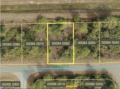 1241 Bari St E, Lehigh Acres, FL 33974 - photo 2