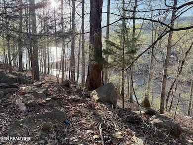 0 Catoosa Drive & Kahiti Ct unit 1321706, Mooresburg, TN 37811 - photo 6