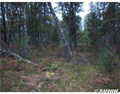 Lot 76 Deerpath Rd, Jackson, WI 54830 - photo 2