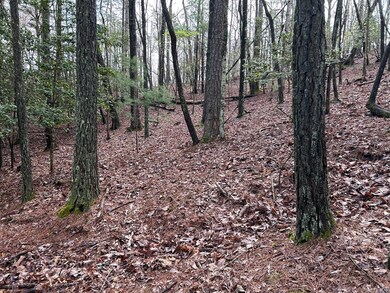 LT2756 Medina Ct, Ellijay, GA 30540 - photo 2