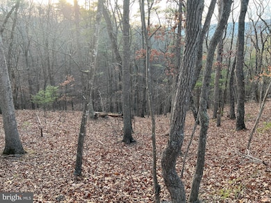 0 Straton Way unit VASH2013140, Basye, VA 22810 - photo 2