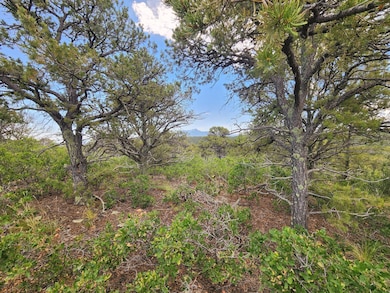 LotC4 Highview Cir, Trinidad, CO 81082 - photo 6