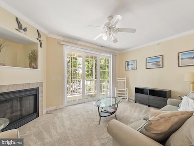 30611 Cedar Neck Rd unit 2204, Ocean View, DE 19970 - photo 4