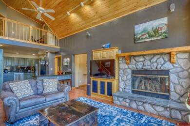 569 Eight Mile Loop, Pagosa Springs, CO 81147 - photo 7