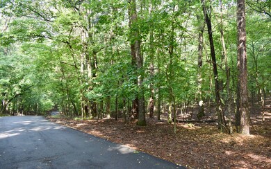 Additional View