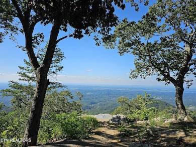 2820 Dupont Springs Rd, Sevierville, TN 37876 - photo 3