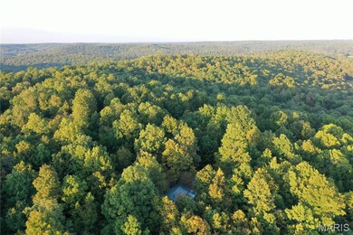 TDB Upper Janes Creek Raod, Ravenden, AR 72459 - photo 5