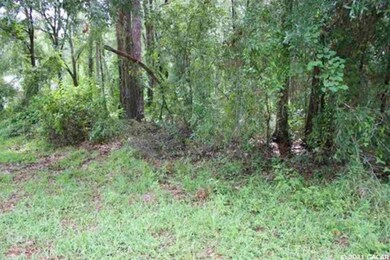 9761 SW 190 Terrace, Undetermined-Other, FL 34432 - photo 2