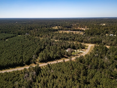 186 Exploration Rd, New Waverly, TX 77358 - photo 3