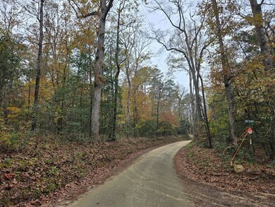 R22961 County Road 2150, Colmesneil, TX 75979 - photo 5