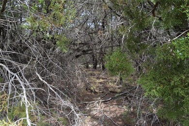 5059 W Horseshoe Dr, Whitney, TX 76692 - photo 2