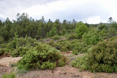 882 Geronimo Ln, Show Low, AZ 85901 - photo 5