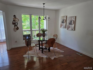 Dining room featuring a chandelier, plenty of natural light, and wood-type flooring