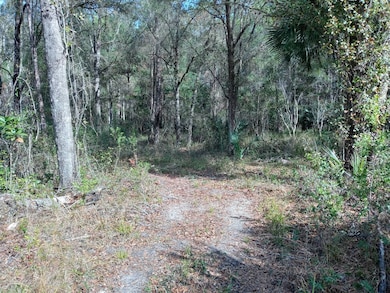 00 E Hwy 316, Fort McCoy, FL 32134 - photo 3