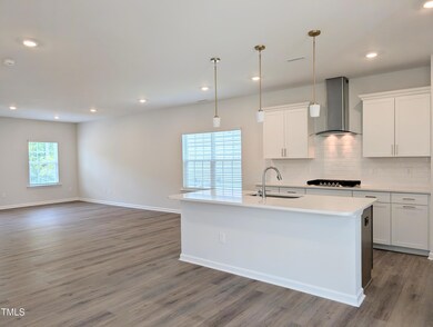Open Family Dining Kitchen