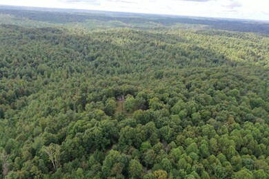 0 Old Hwy 20, Linden, TN 37096 - photo 4