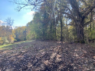 881 Galbraith Rd, Brooksville, KY 41004 - photo 4