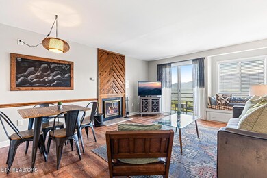 1260 Ski View Dr unit 8203, Gatlinburg, TN 37738 - photo 3