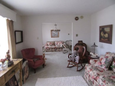 Living room with light carpet