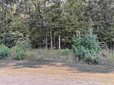 00 Riverbend Dr, Clinton, AR 72031 - photo 3