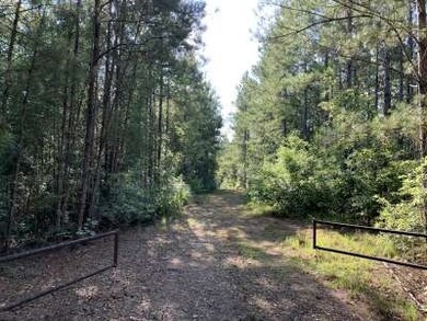 . Old Hwy 51 S, Osyka, MS 39657 - photo 4