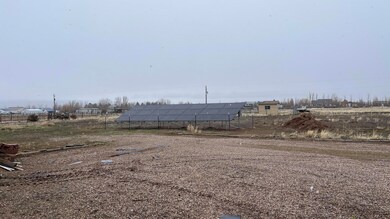 IMG_2921