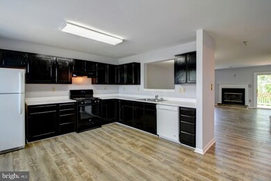 5513 Oberlin Place, Frederick, MD 21703 - photo 5