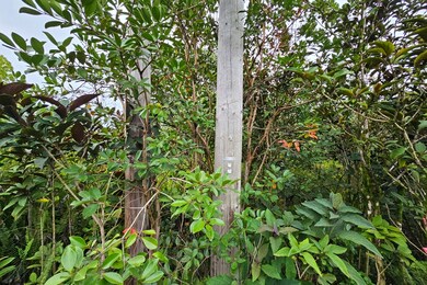 0 4th Ave unit 725543, Hawaiian Paradise Park, HI 96749 - photo 6