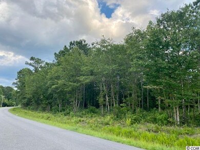 4998 Highway 472 unit Lot 8, Conway, SC 29526 - photo 3