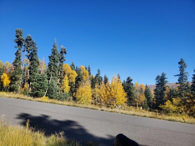 0 Kolob Terrace Rd, Virgin, UT 84779 - photo 5