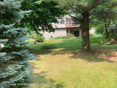 backyard3